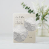 Sand Dollar Save the Date Beach Theme Wedding Aankondigingskaart (Staand voorkant)