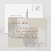 Sand Dollar Save the Date Beach Theme Wedding Aankondigingskaart (Voorkant / Achterkant)