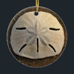 Sand Dollar Seashell Beach Ornament Pendant<br><div class="desc">Een zeeslag van een zanddollar ligt op de zandstrandkust met zachte zijverlichting van de zon. Afbeelding is een kleurenfoto gemaakt op Playa Grande, Costa Rica aan de kust van de Stille Oceaan. Personaliseer dit zee shell ornament met uw eigen tekst of afbeeldingen gebruikend de pas het optie aan om een...</div>