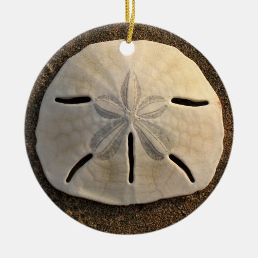 Sand Dollar Seashell Beach Ornament Pendant (Voorkant)