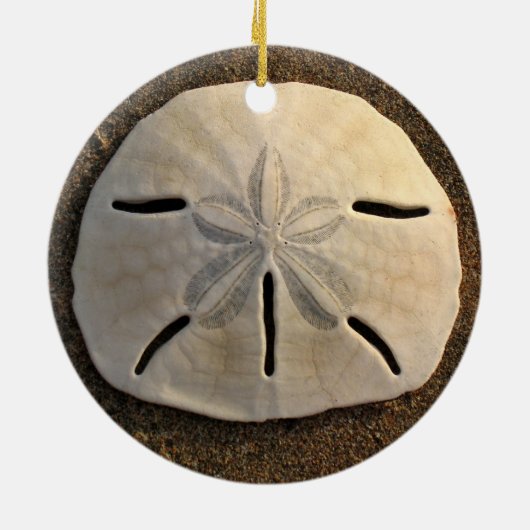 Sand Dollar Seashell Beach Ornament Pendant (Achterkant)
