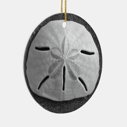 Sand Dollar Seashell Beach Ornament Pendant (Rechts)