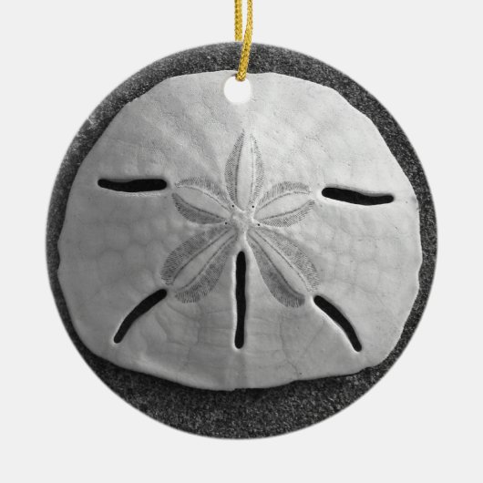 Sand Dollar Seashell Beach Ornament Pendant (Voorkant)