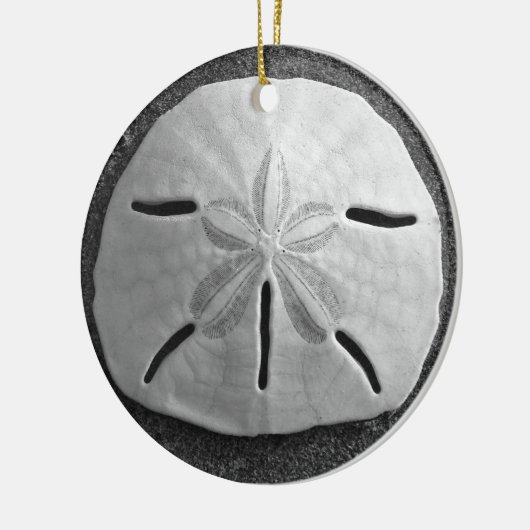 Sand Dollar Seashell Beach Ornament Pendant (Links)
