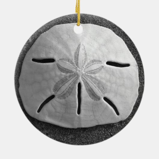 Sand Dollar Seashell Beach Ornament Pendant (Achterkant)