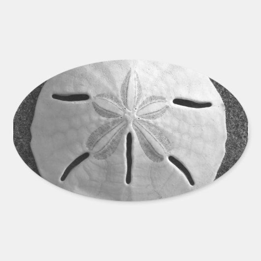 Sand Dollar Seashell Beach Sticker (Voorkant)