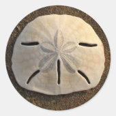 Sand Dollar Seashell Decal Aangepaste Stickers (Voorkant)