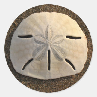 Sand Dollar Seashell Decal Aangepaste Stickers