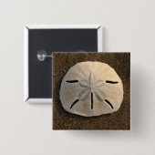 Sand Dollar Seashell Foto Button Aangepaste spelde (Voorkant /achterkant)