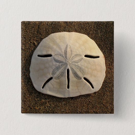 Sand Dollar Seashell Foto Button Aangepaste spelde (Voorkant)