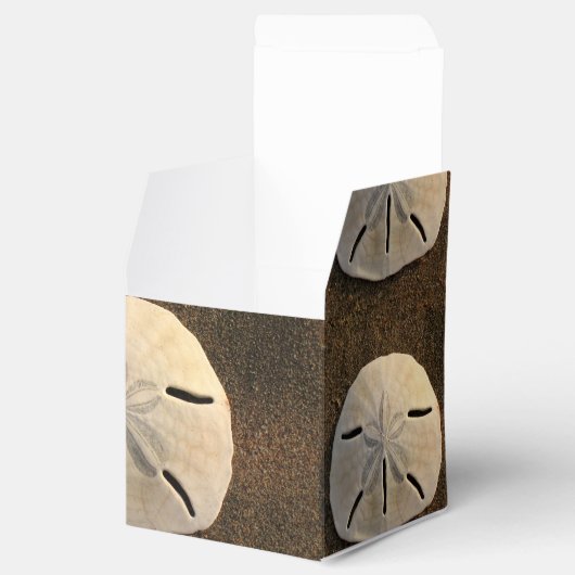 Sand Dollar Seashell Party Favor Custom Cadebox Bedankdoosjes (Geopend)