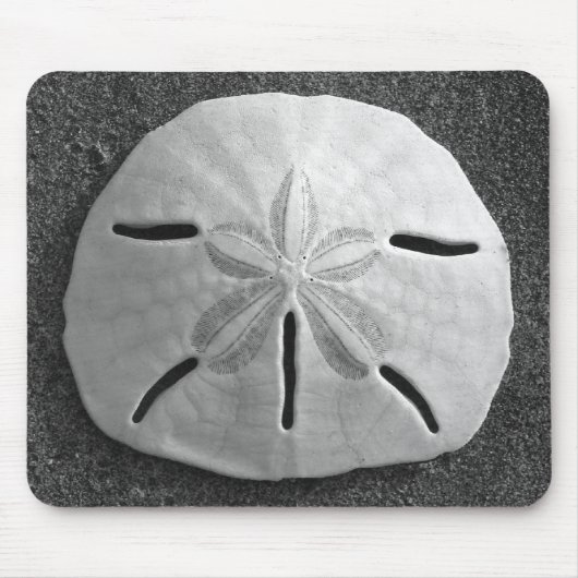 Sand Dollar Seashell Zand Beach Mousepad Muismat (Voorkant)