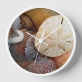 Sand Dollar Seashells Beach Thema (Voorkant)