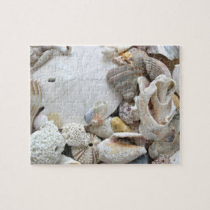 Sand Dollar Seashells Legpuzzel