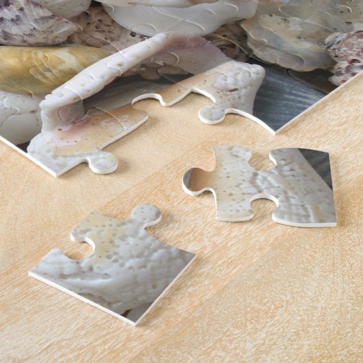 Sand Dollar Seashells Legpuzzel (Zijkant)