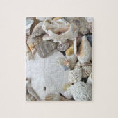 Sand Dollar Seashells Legpuzzel (Verticaal)