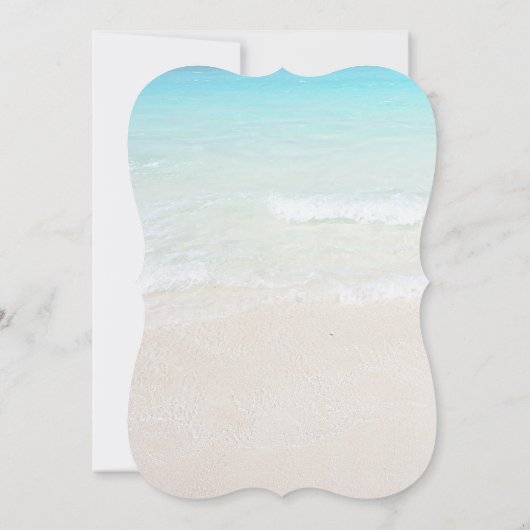 Sand Dollar Seaside Wedding Moderne Uitnodiging (Achterkant)