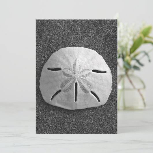 Sand Dollar Shell Beach Invitation (B&W Foto) Kaart (Staand voorkant)