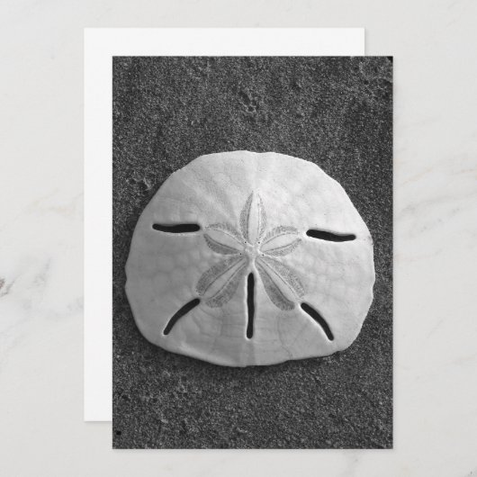 Sand Dollar Shell Beach Invitation (B&W Foto) Kaart (Voorkant / Achterkant)