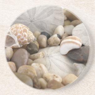 Sand Dollar Shells and Pebbles Zandsteen Onderzetter