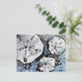 Sand Dollar Trio Briefkaart (Staand voorkant)