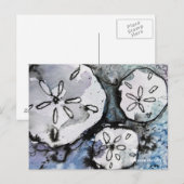 Sand Dollar Trio Briefkaart (Voorkant / Achterkant)