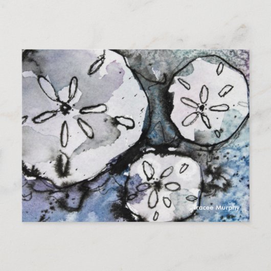 Sand Dollar Trio Briefkaart (Voorkant)