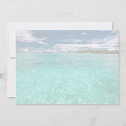 Sand Dollar Weddenschap Turquoise Water Hartelijk  Bedankkaart (Achterkant)