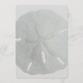 Sand Dollar Wedding Fan Program Paper Programmakaart (Voorkant)