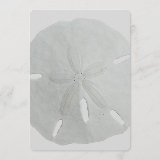 Sand Dollar Wedding Fan Program Paper Programmakaart (Voorkant)