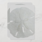 Sand Dollar Wedding Fan Program Paper Programmakaart (Voorkant / Achterkant)