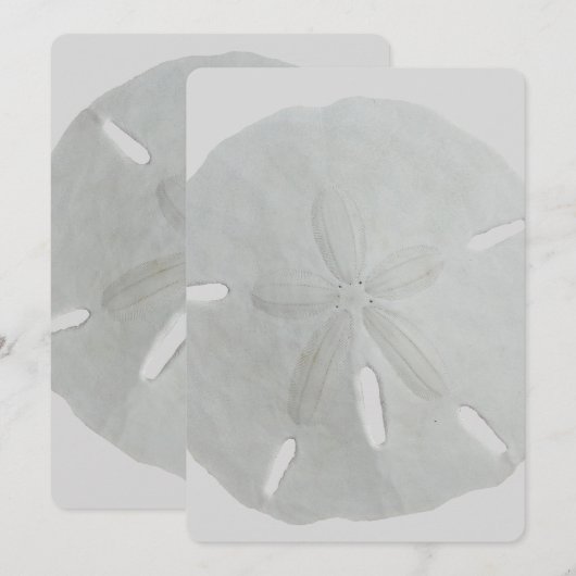 Sand Dollar Wedding Fan Program Paper Programmakaart (Voorkant / Achterkant)
