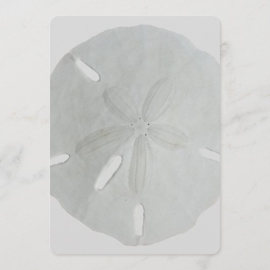 Sand Dollar Wedding Fan Program Paper Programmakaart (Achterkant)
