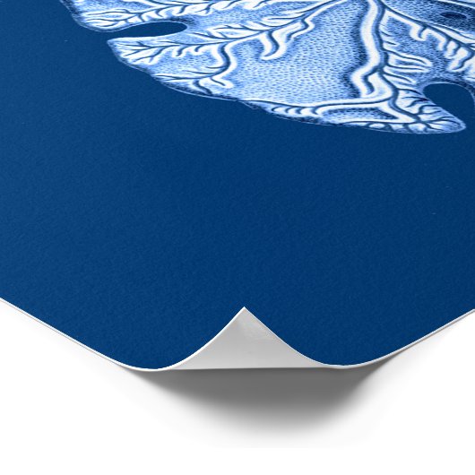 Sand Dollar Zee Life Print, Indigoblauw en wit Poster (Hoek)