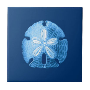 Sand Dollar Zee Life Print, Indigoblauw en wit Tegeltje