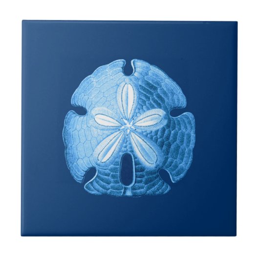 Sand Dollar Zee Life Print, Indigoblauw en wit Tegeltje (Voorkant)