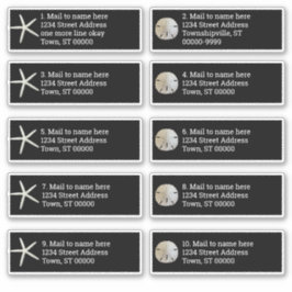 Sand Dollar Zee Stars Black Individuele mailing Sticker