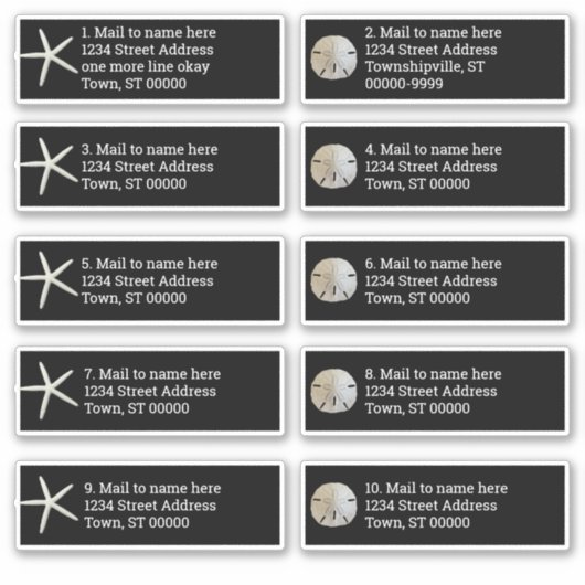 Sand Dollar Zee Stars Black Individuele mailing Sticker (Voorkant)