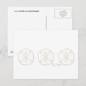 Sand Dollars Briefkaart (Voorkant / Achterkant)