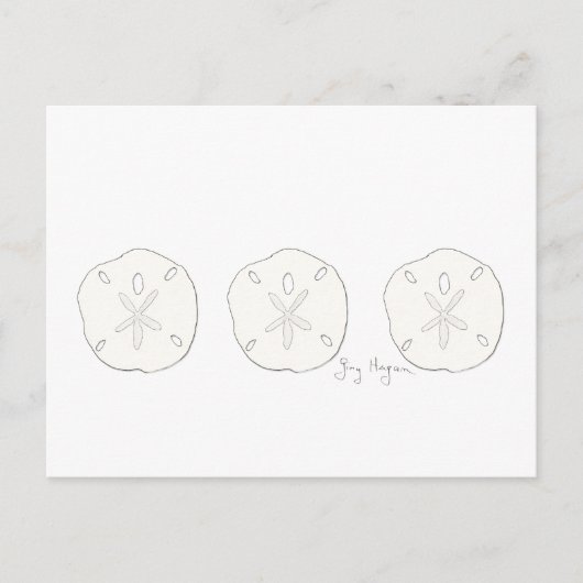 Sand Dollars Briefkaart (Voorkant)