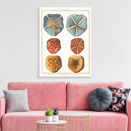 Sand Dollars-Pareltjes Canvas Afdruk (Insitu (Woonkamer))