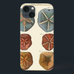 Sand Dollars-Pareltjes Case-Mate iPhone Case<br><div class="desc">Zanddollars zijn een zeer unieke zee. Dit afbeelding omvat zeer unieke en kleurrijke zanddollars. Diderot contrasteerde deze zanddollar met een zachte roomkleurige toonachtergrond. Koop je zanddollar op je zazzle product vandaag.</div>