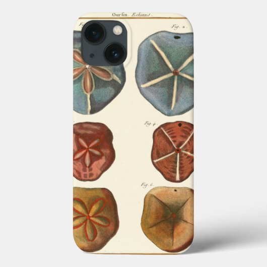 Sand Dollars-Pareltjes Case-Mate iPhone Case (Achterkant)