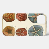 Sand Dollars-Pareltjes Case-Mate iPhone Case (Achterkant (horizontaal))
