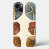 Sand Dollars-Pareltjes Case-Mate iPhone Case (Achterkant)