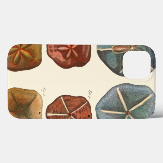 Sand Dollars-Pareltjes Case-Mate iPhone Case (Achterkant (horizontaal))