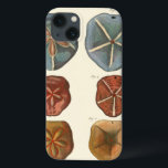 Sand Dollars-Pareltjes iPhone 13 Hoesje<br><div class="desc">Zanddollars zijn een zeer unieke zee. Dit afbeelding omvat zeer unieke en kleurrijke zanddollars. Diderot contrasteerde deze zanddollar met een zachte roomkleurige toonachtergrond. Koop je zanddollar op je zazzle product vandaag.</div>