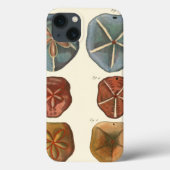 Sand Dollars-Pareltjes Case-Mate iPhone Case (Achterkant)