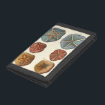 Sand Dollars-Pareltjes Drievoud Portemonnee<br><div class="desc">Zanddollars zijn een zeer unieke zee. Dit afbeelding omvat zeer unieke en kleurrijke zanddollars. Diderot contrasteerde deze zanddollar met een zachte roomkleurige toonachtergrond. Koop je zanddollar op je zazzle product vandaag.</div>