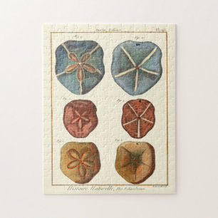 Sand Dollars-Pareltjes Legpuzzel